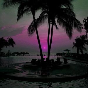 Meet your Posher, Jose